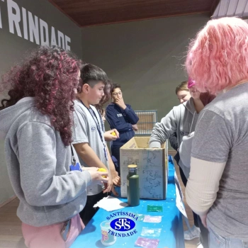 Feira de Ciências | 6º ano 