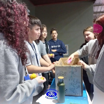 Feira de Ciências | 6º ano 