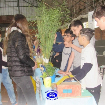 Feira de Ciências | 6º ano 