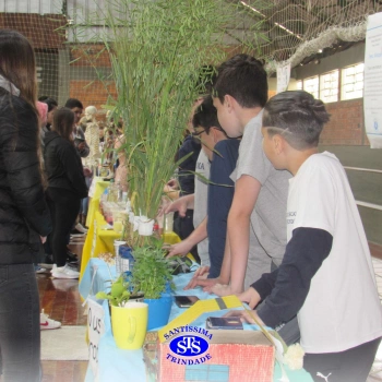 Feira de Ciências | 6º ano 