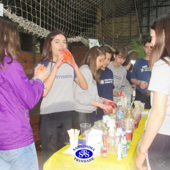 Feira de Ciências | 6º ano 