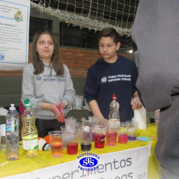 Feira de Ciências | 6º ano 