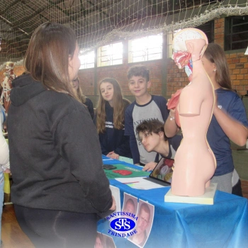 Feira de Ciências | 6º ano 