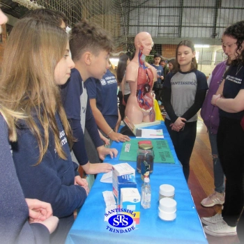 Feira de Ciências | 6º ano 