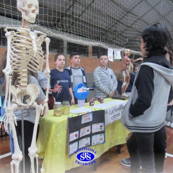 Feira de Ciências | 6º ano 