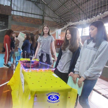 Feira de Ciências | 6º ano 