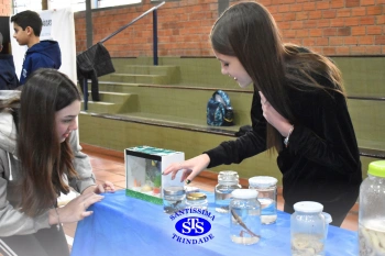 Feira de Ciências promove o desenvolvimento de aprendizagens | 6º ano