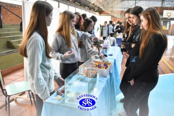 Feira de Ciências promove o desenvolvimento de aprendizagens | 6º ano