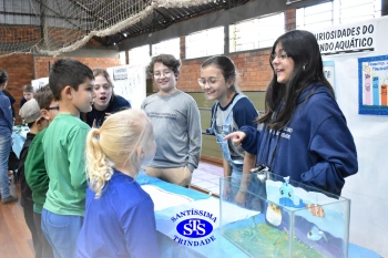 Feira de Ciências promove o desenvolvimento de aprendizagens | 6º ano