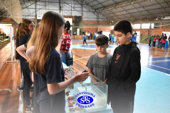 Feira de Ciências promove o desenvolvimento de aprendizagens | 6º ano