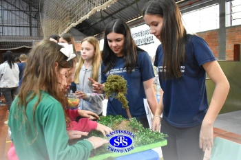 Feira de Ciências promove o desenvolvimento de aprendizagens | 6º ano
