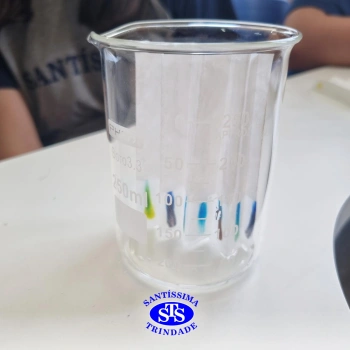 1ª série EM: aula de cromatografia