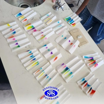 1ª série EM: aula de cromatografia