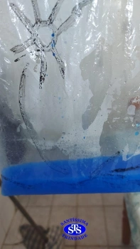 3º ano - Ciclo da água 