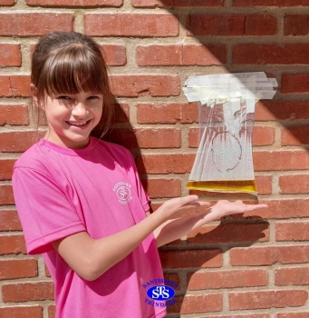 3º ano - Ciclo da água 