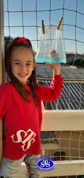 3º ano - Ciclo da água 