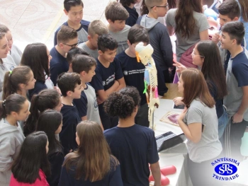 Feira de Ciências - 8º ano 