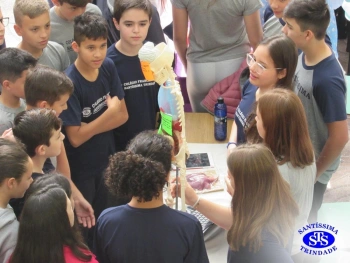 Feira de Ciências - 8º ano 