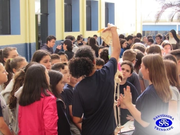 Feira de Ciências - 8º ano 