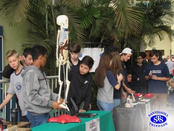 Feira de Ciências - 8º ano 