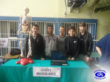 Feira de Ciências - 8º ano 
