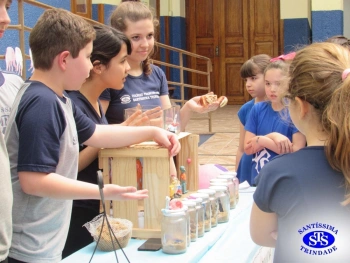 Feira de Ciências com alunos do 6º e 7º anos