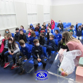 3º ano EF | Estudos relacionados ao Meio Ambiente