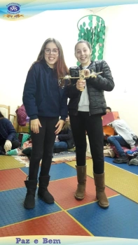6º ano 
