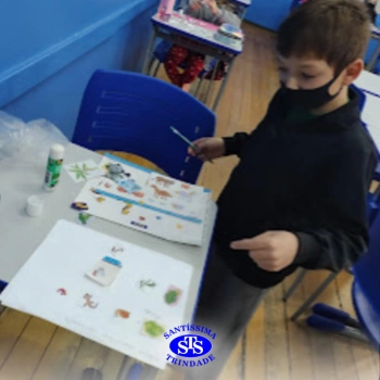 4º ano | Cadeia Alimentar 