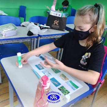 4º ano | Cadeia Alimentar 