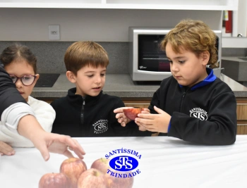 Estudo das sementes no Espaço Gourmet