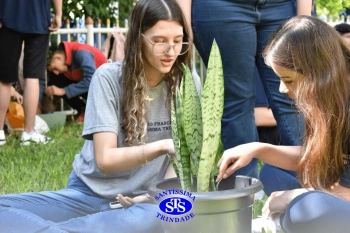Amizade Social: cultivando vínculos plantando | Projeto de Vida e Ens. Religioso