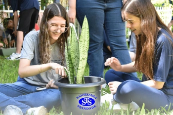 Amizade Social: cultivando vínculos plantando | Projeto de Vida e Ens. Religioso