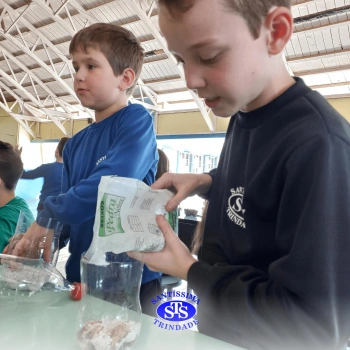 Confecção de terrários | 3º ano 