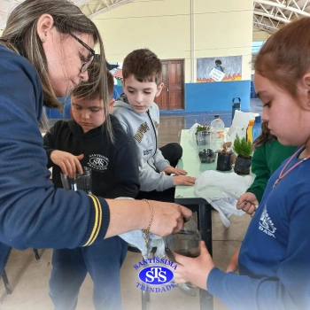 Confecção de terrários | 3º ano 