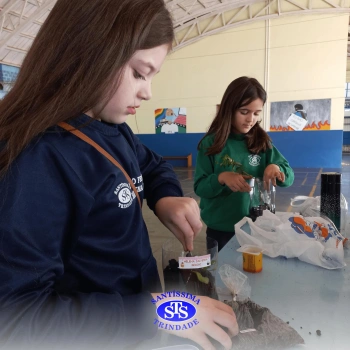 Confecção de terrários | 3º ano 
