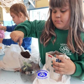 Confecção de terrários | 3º ano 