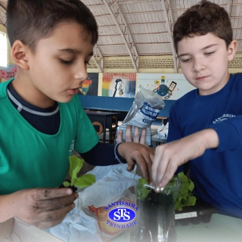 Confecção de terrários | 3º ano 