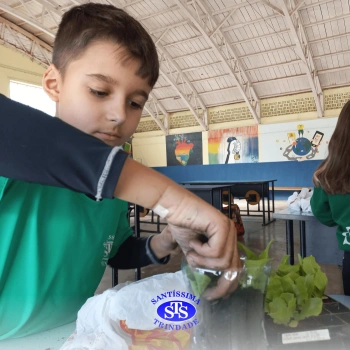 Confecção de terrários | 3º ano 