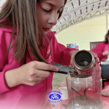 Confecção de terrários | 3º ano 