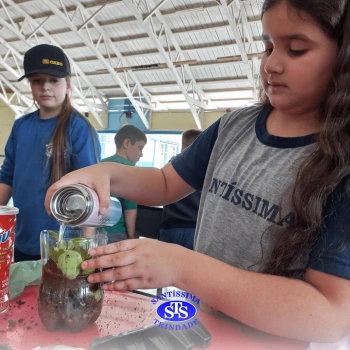 Confecção de terrários | 3º ano 