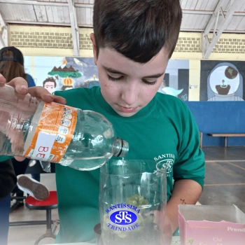 Confecção de terrários | 3º ano 