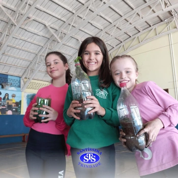 Confecção de terrários | 3º ano 