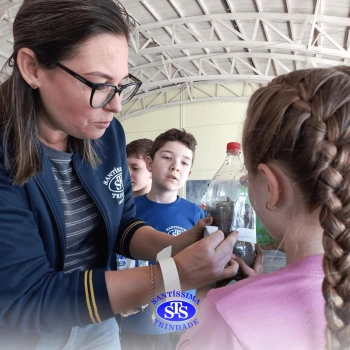 Confecção de terrários | 3º ano 