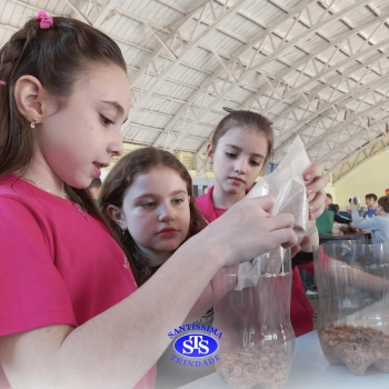 Confecção de terrários | 3º ano 