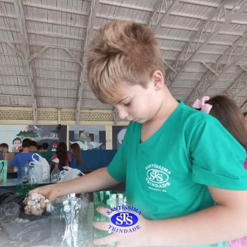 Confecção de terrários | 3º ano 
