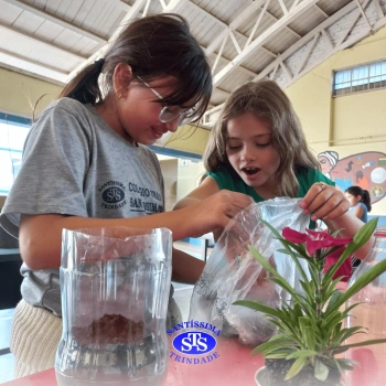 Confecção de terrários | 3º ano 