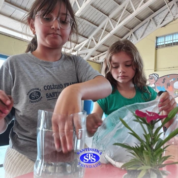 Confecção de terrários | 3º ano 