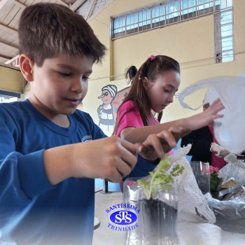 Confecção de terrários | 3º ano 