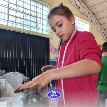 Confecção de terrários | 3º ano 